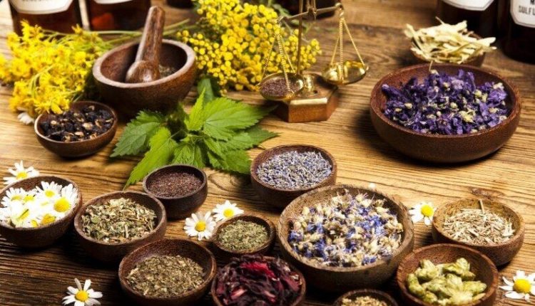 plantes medicinales