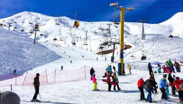 photo23116909733-min